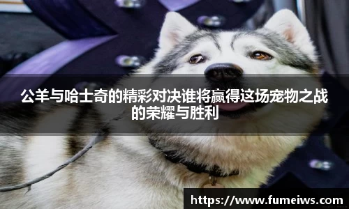 bevictor伟德注册登录